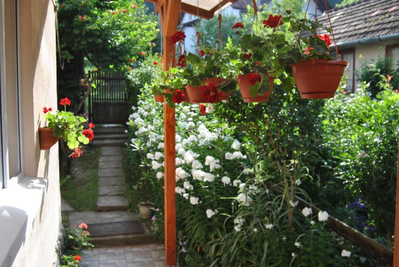 Homestay Casa Kelemen *