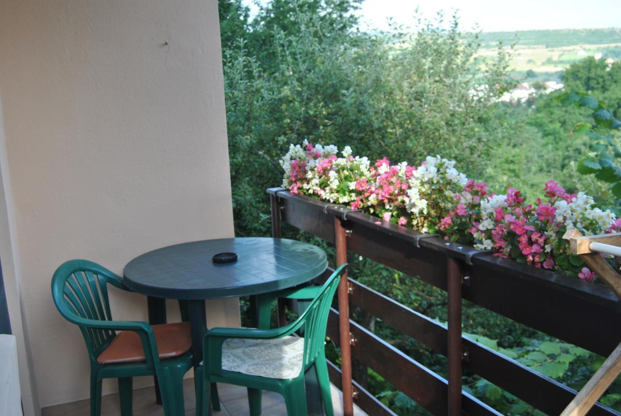 Homestay Casa Kelemen *