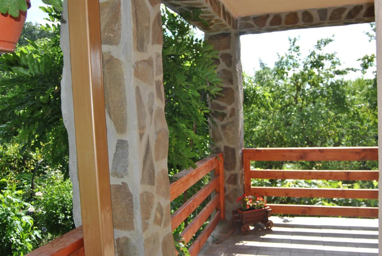 Homestay Casa Kelemen