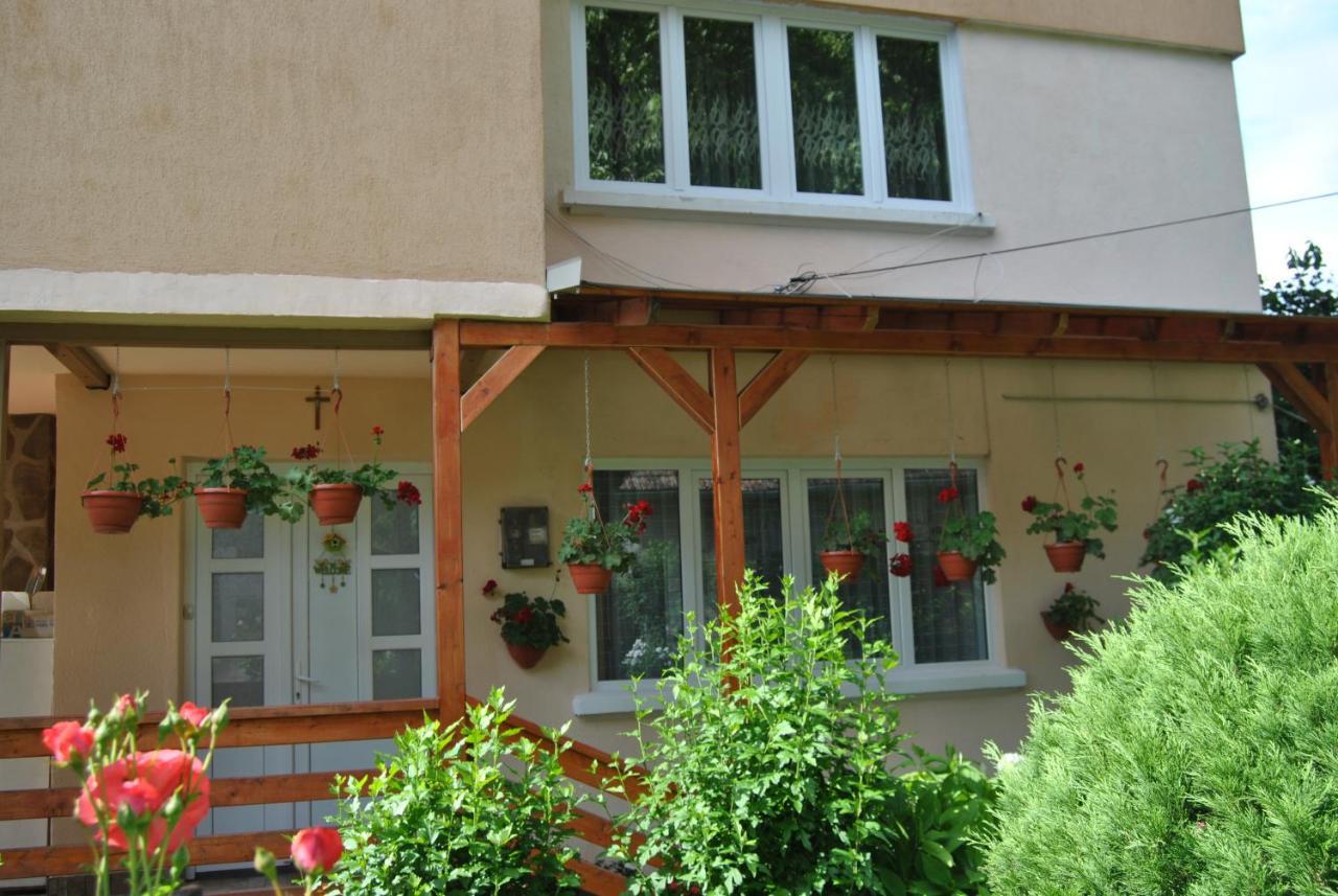Homestay Casa Kelemen Sovata