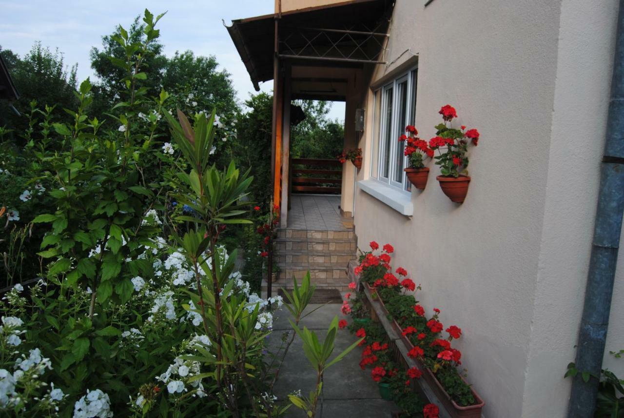 Homestay Casa Kelemen *